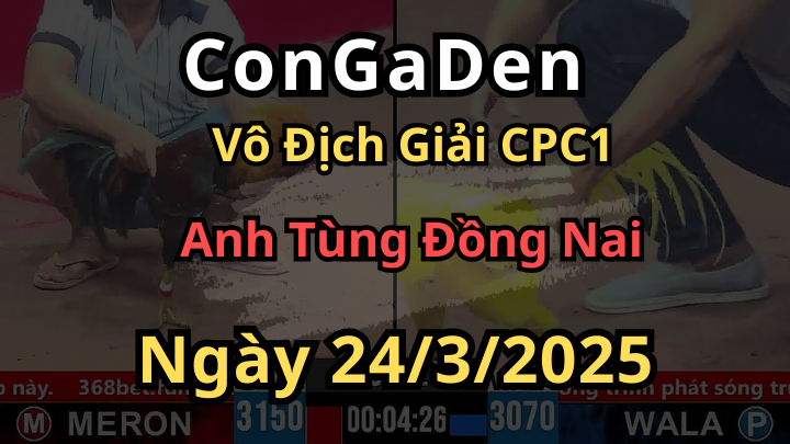 Nhà vô địch cúp giải đá gà cpc1 ngày 24/3/2025