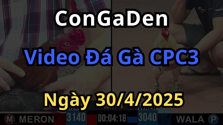 Xem Đá Gà CPC3 Trực Tiếp Hôm Nay Ngày 30/4/2025