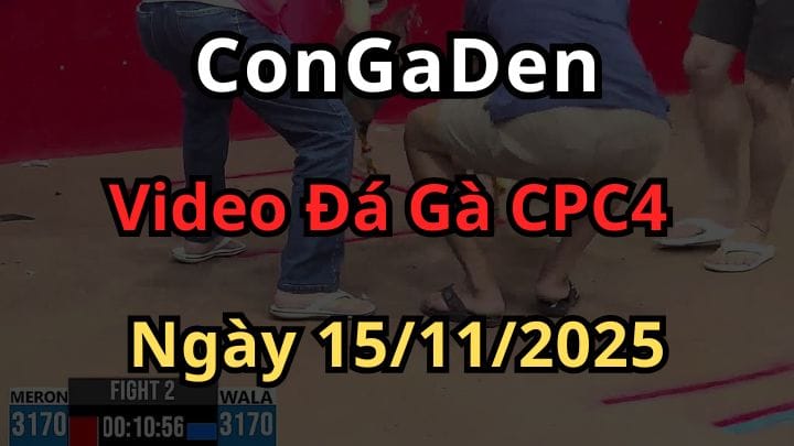 Full Video Trực Tiếp Đá Gà CPC4 ngày 15/11/2025